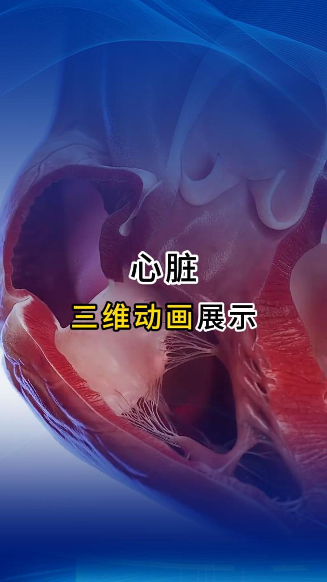 來自心臟的告白！醫(yī)療三維動畫-三維動畫制作公司-華匠科技